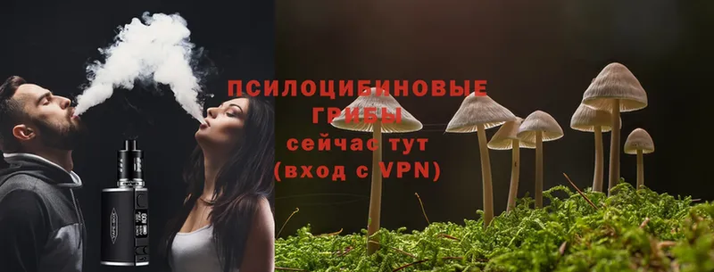 мориарти формула  Котово  Псилоцибиновые грибы Psilocybine cubensis 